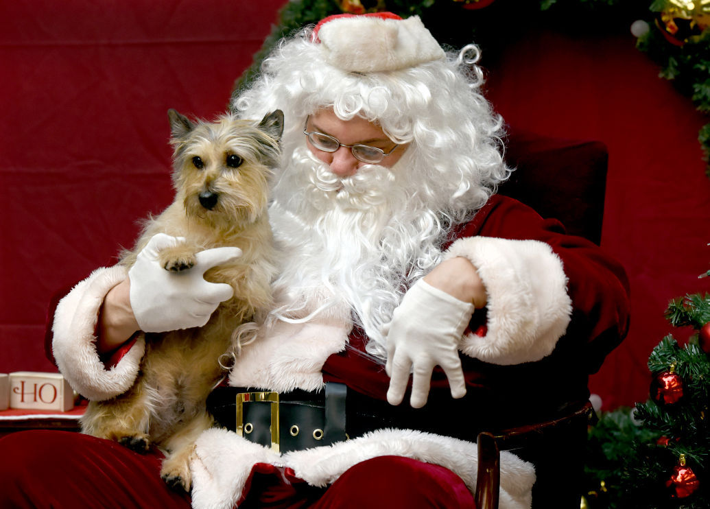 Santa's arrival